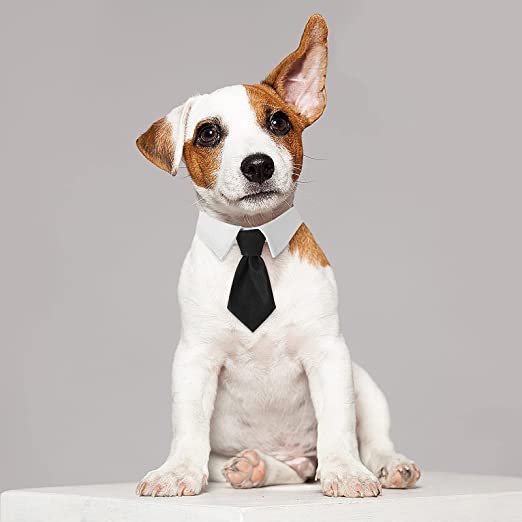 ELEGANCKI KRAWAT DLA PSA , KOTA czarny lub czerwony - rozmiar S