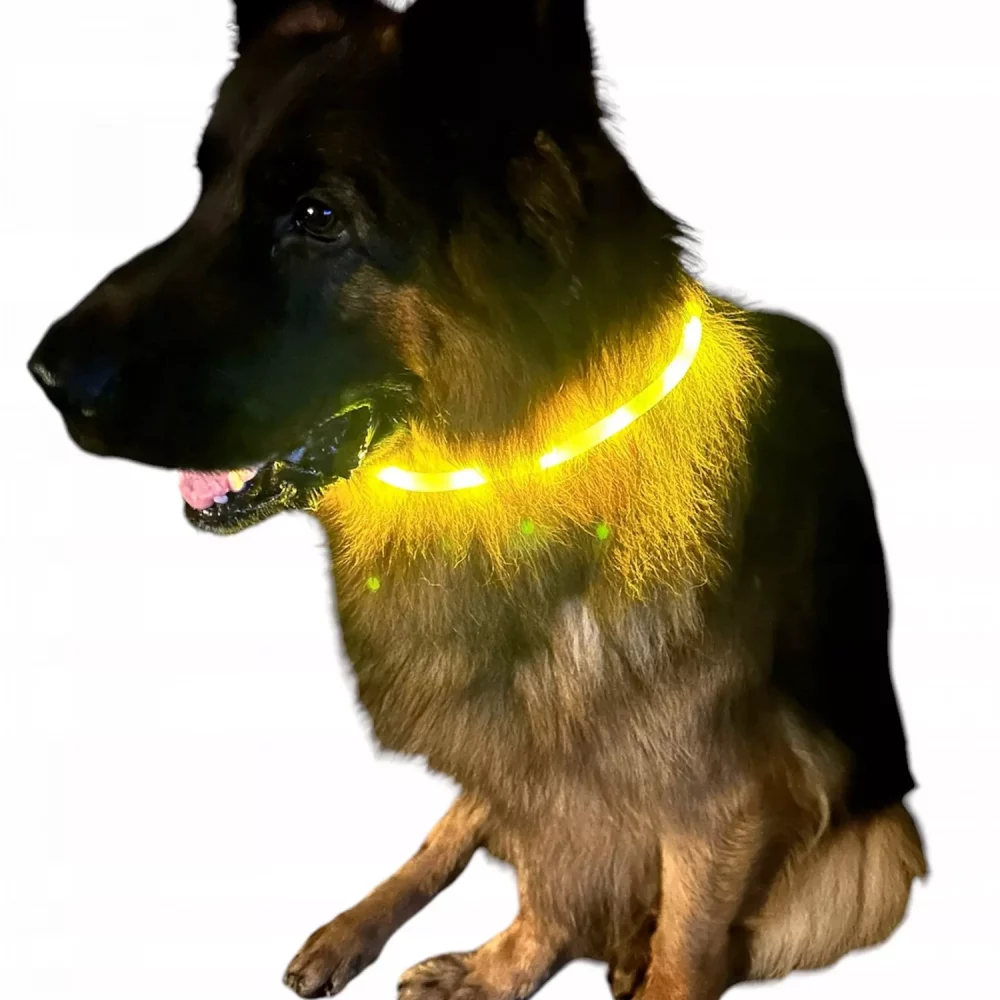 OBROZA-SWIECACA-DLA-PSA-zwieksza-bezpieczenstwo-rozmiar-L-XL-70cm