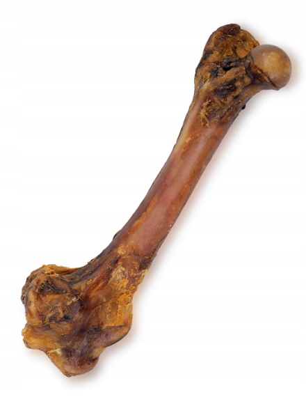 UNISZKI - Kość dzika -mała