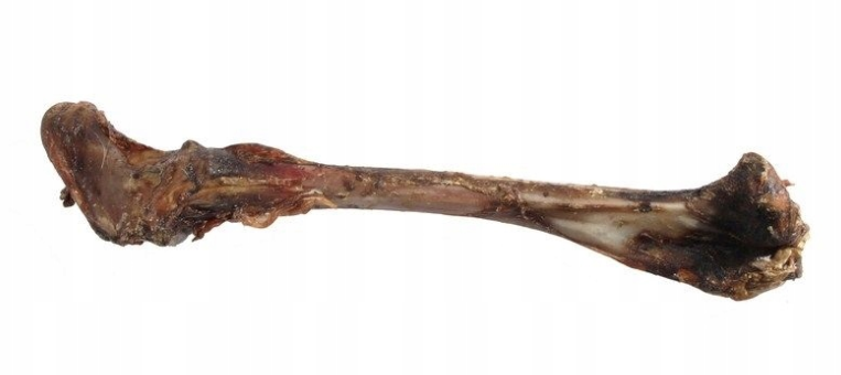 Uniszki - Kość z jelenia ok.25cm