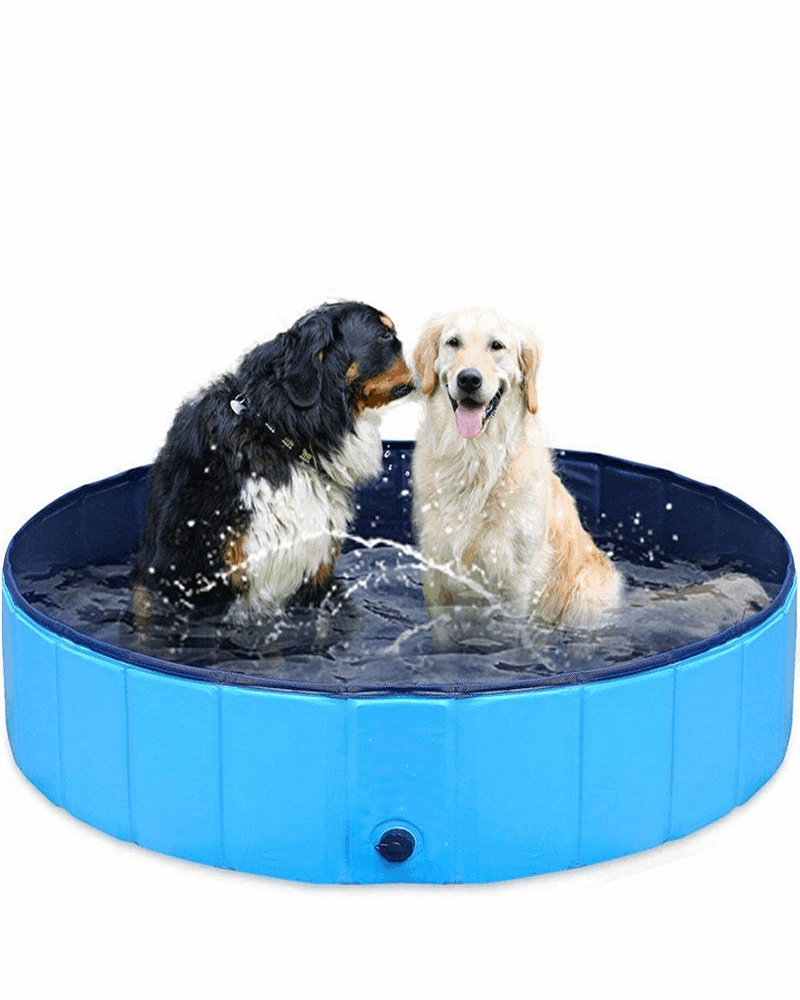 Basen dla psa XXXL 160x30 cm