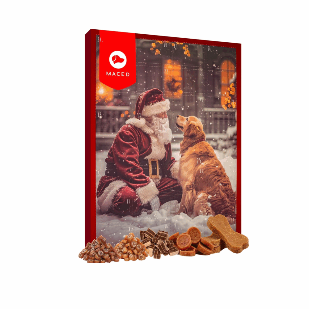 MACED- kalendarz adwentowy dla psa - 2025